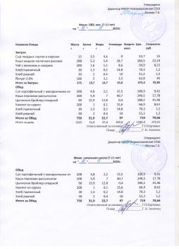 Меню на 11.11.2025 (7-11 лет)